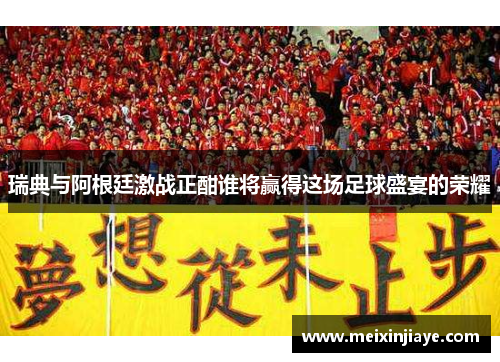 瑞典与阿根廷激战正酣谁将赢得这场足球盛宴的荣耀